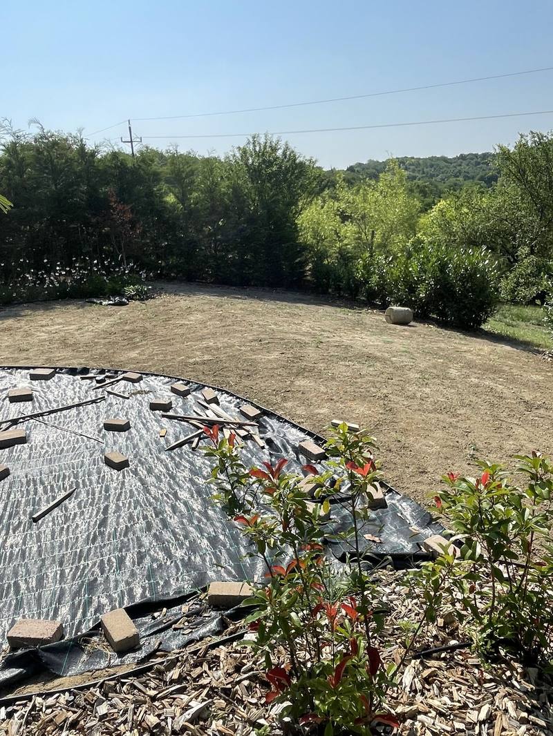 A bed formed with weed membrane, newly planted shrubs and a wood-chip mulch