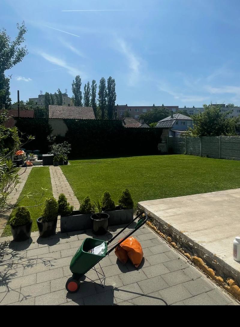 An ordered urban garden with a kept lawn, a paved path and a row of planters