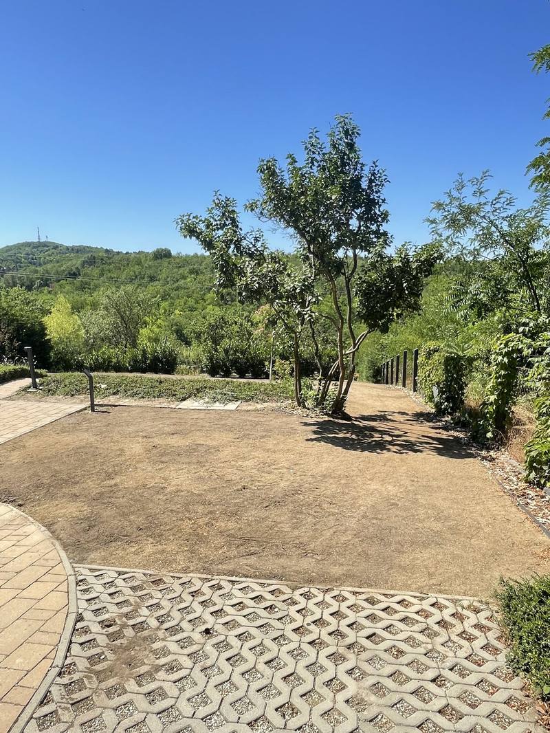Panorama of the plot before garden construction started