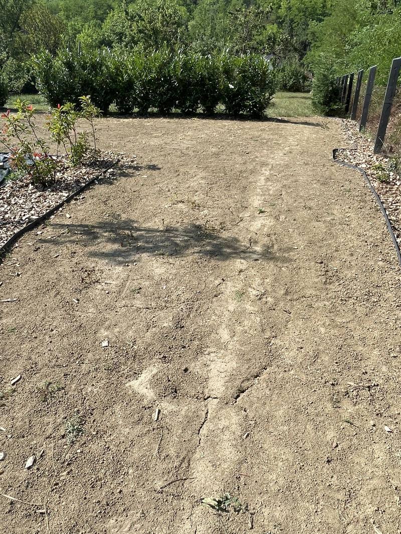 Planting into a freshly formed bed