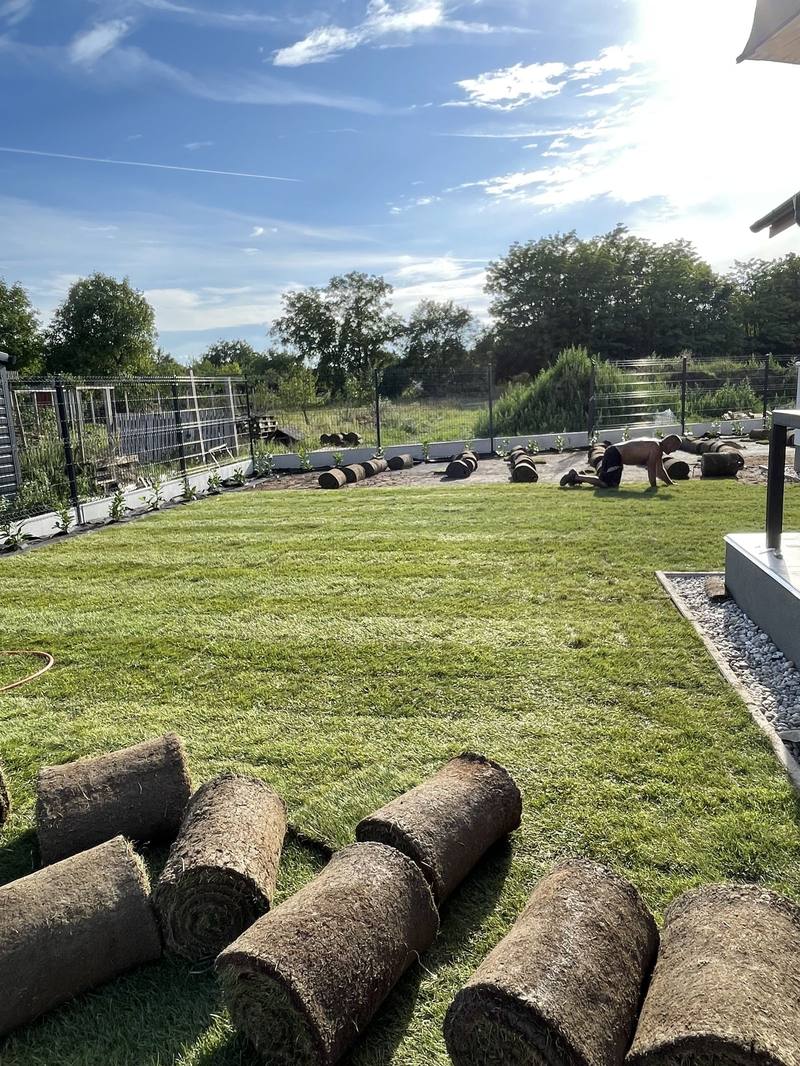 Turf being laid during garden construction – rolls of turf and a half-covered lawn