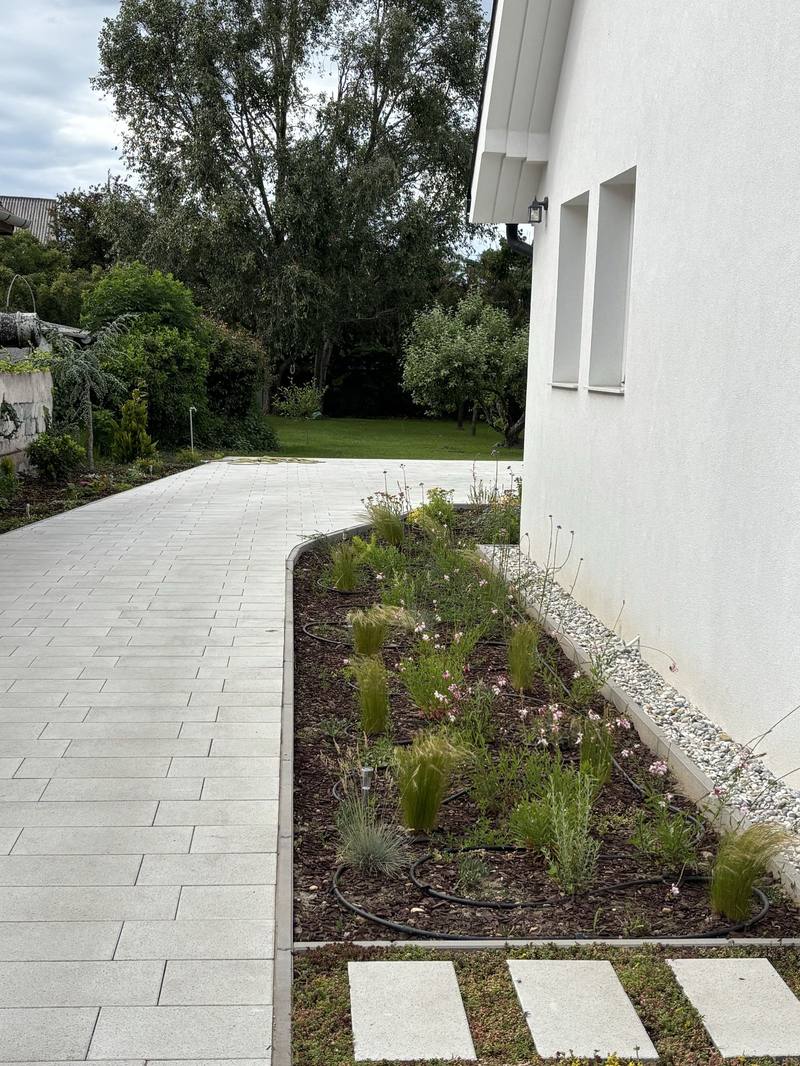 Site preparation: spread topsoil with a weed-suppressing membrane over it