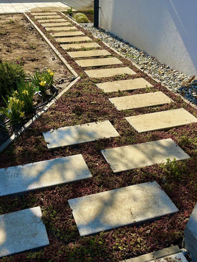 Stepping-stone garden path laid into a sedum bed with a gravel margin